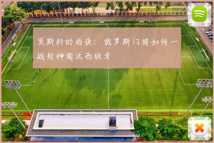 莫斯科的雨夜：俄罗斯门将如何一战封神淘汰西班牙