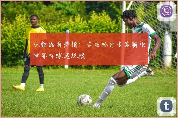 从数据看热情：专访统计专家解读世界杯球迷规模